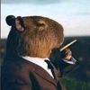 capibara4zx