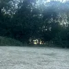 natureismyhome1