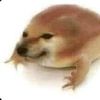 drog6465