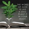 yeshua.ha.messiach