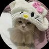 0liviabumblebee