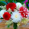 runa.khatun585