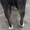 lahondurasdeaca