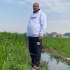 mazhar.sabet