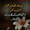 irfanjoyia6623
