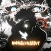 wanglin_j1