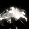 l_darkx010