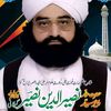 muhammad.hassan8695