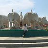 afifahanak
