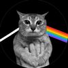 anything_something