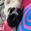tiktokfinds828