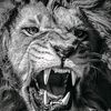 abdouofficielle_19