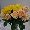 hasret27863