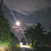 dee_24042007