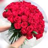 el.anur123