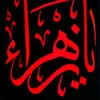 user4263340313