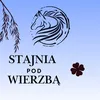 _stajnia_pod_wierzba_