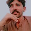 saif78611