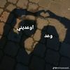 ahmed.elzanaty2