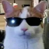 agent_ve