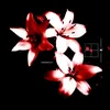 bix_2111