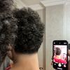 bedo_581
