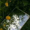 user6602820051030
