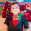 naqebullahsherzad4