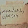 user51083663991608