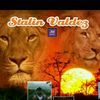 stalin.valdez.m