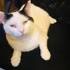 harrysimi58