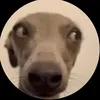thesweboss0