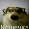 koshechka_42