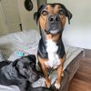 spunkyandboss