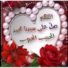 warda.ahmed084