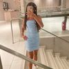 agam_15313
