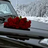 z.al_rawi
