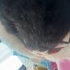 mochiiz_8970