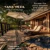 tanamera21