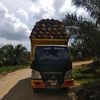 kulijalanan75