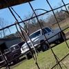 white_1500dodge
