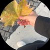 maali_alm