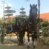 juna.edi584