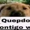 mrperro507_vt