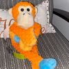 wise.monkey01