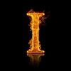 user419178741