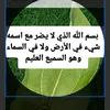 user8636758835339