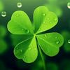 ғʀᴀsᴇs ᴅᴇ ᴛᴏᴅᴏ 🍀
