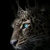 hasan.majed8