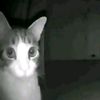 meowmeow27262736